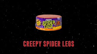 Creepy Spider Legs [upl. by Sharleen]