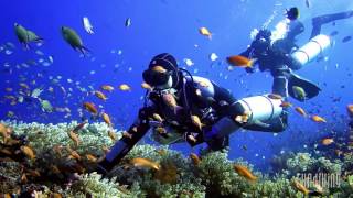 DIVING KOMODO 2016  MV Black Manta liveaboard [upl. by Navis]