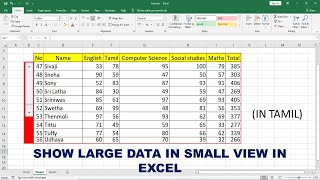 HOW TO SHOW LARGE DATA IN SMALL VIEW IN EXCEL IN TAMIL [upl. by Sterner61]