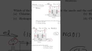 Chlor alkali process [upl. by Lekym606]