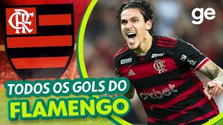 TODOS OS GOLS DO FLAMENGO NO BRASILEIRÃO 2024  LISTAS  geglobo [upl. by Ahsytal]