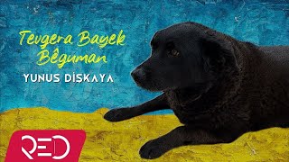 Yunus Dişkaya  Tevgera Bayek Bêguman Official Audio [upl. by Billi]