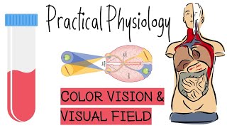 Physiology  Practical  Color Vision amp Visual Field [upl. by Burrows]