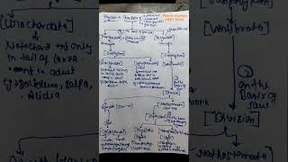 NEET UG Phylum CHORDATA short trick to learn short trick 4 marks pakkaneet animalkingdom [upl. by Polak]