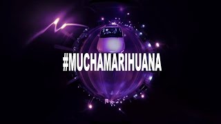 Cartel de Santa  Mucha Marihuana VIEJOMARIHUANO [upl. by Hgielac]