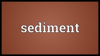 Sediment Meaning [upl. by Riesman]