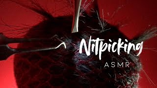 ASMR I Scalp inspection fluffy mic scratching nit picking no talking [upl. by Adnilem]