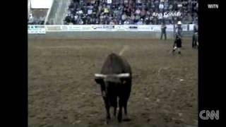 Rodeo Bull charges into rodeo ground Williamston 2702 [upl. by Enimsaj540]