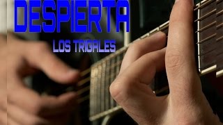 Despierta  Los Trigales Acordes guitarra [upl. by Strepphon]