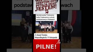 Puławy polska dlaciebie 60 viralshort dc shorts [upl. by Mozelle564]