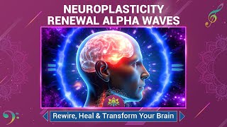 Neuroplasticity Renewal Alpha Waves  Activate Neurons  Rewire Heal amp Transform Your Brain [upl. by Sig]