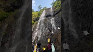 Amboli Waterfall at Hill Station Maharashtra Ghat Road To Goa waterfalls maharashtra goa [upl. by Kcirddet235]