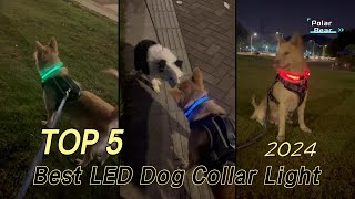 TOP 5 Best LED Dog Collar Light 2024 [upl. by Kyte]