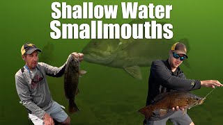 Catching Shallow Water Smallmouth Bass [upl. by Schwejda108]