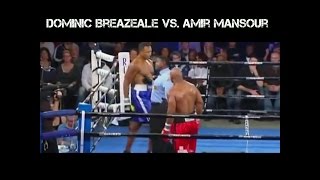 Dominic Breazeale vs Amir Mansour Highlights 2016 [upl. by Stover]