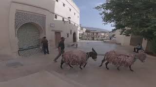 Roaming Around Fes Morocco [upl. by Handy]