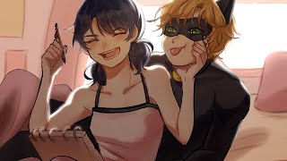 A Miraculous Love Story P2  Miraculous Ladybug Comic Dub [upl. by Akimihs]