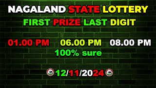 First Prize Last Digit 121124 Nagaland State Lottery Target Number Lottery Sambad Target Number [upl. by Willow]