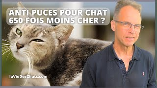 ANTI PUCES POUR CHAT 650 FOIS MOINS CHER [upl. by Aihpos96]