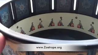 Zoetrope Animation Toy of Seals  Zoetrope [upl. by Ardnatal]