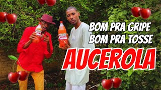 BOM PRA GRIPE BOM PRA TOSSE AUCEROLA  Zé Paulo e Zhaw CLIPE OFICIAL DJ Gui no Beat [upl. by Remy]