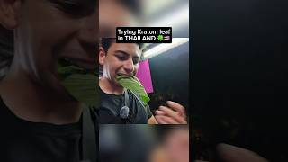 I Tried KRATOM Leaf in Thailand 🍃🇹🇭 [upl. by Anelej494]