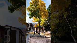 Zermatt  Switzerland 🩵 trending trendingshorts minivlog autumn switzerland [upl. by Giverin]