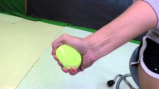 Ball Squeezes  Grip Strengthening  Sports Medicine Rehab Exercises [upl. by Husein335]