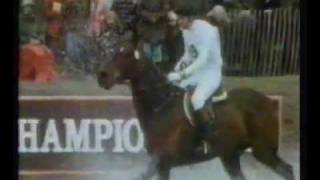 Horse Eventing  Cross country documentary  PART TWO [upl. by Jillene]