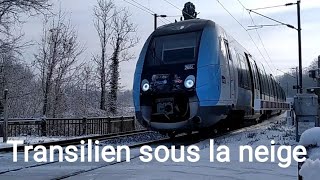 Le transilien sous la neige [upl. by Aneeuqahs]