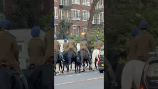 Horse riding travelvlog horse history highlights horseriding london [upl. by Ruthie]