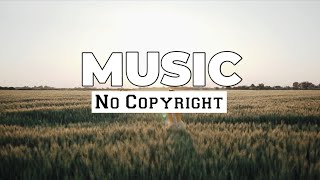 No Copyright Music  Most Famous Vlog Music  No Copyright Background Music  Copyright free Song [upl. by Liza]