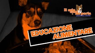 Educazione alimentare [upl. by Anivek]