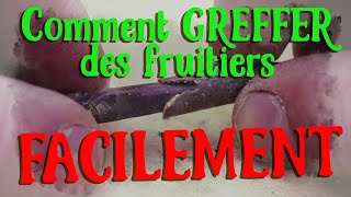 Le greffage de Fruitiers le plus simple du monde et en 5 minutes [upl. by Sined983]