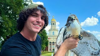 Rescuing amp Releasing a Redtailed Hawk Gone 𝓕𝓻𝓮𝓪𝓴𝔂🤓👆 Urban Rescue Ranch Lost Episode [upl. by Fredric]