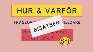 HUR amp VARFÖR frågor och bisatser Sfi [upl. by Moia]