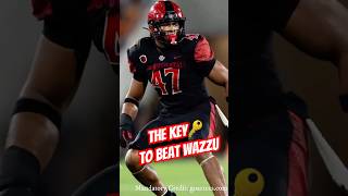 SDSU vs Wazzu Preview [upl. by Tu]