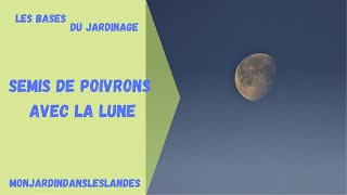 Comment semer les poivrons avec la lune  Monjardindansleslandes [upl. by Rot]