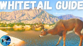 Rancho Del Arroyo Whitetail Deer Zone Guide TheHunter Call Of The Wild 2023 [upl. by Ateekan]