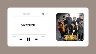 Stray Kids  SKZ2020 playlist [upl. by Ardnic]