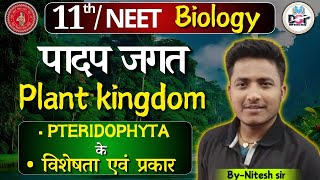 Classification of Pteridophyta टेरिडोफाइटा के वर्गीकरण।।by Nitesh sir बिल्कुल आसान भाषा में [upl. by Cianca214]