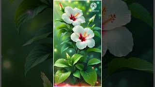 Nature status l Nature video l whatsapp status l 🌹 Flower l short l Flower short [upl. by Travax]