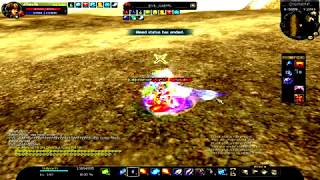 Silkroad 140 cap private server Pvp SS Nuker Fornax Sro [upl. by Aveline]