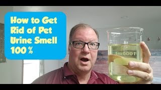 How To Get Rid of Pet Urine Smell [upl. by Fried818]