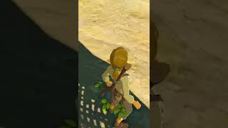 Meet old man Nintendo Switch The Legend of Zelda Breath of the Wild Gameplay nintendogame zelda [upl. by Evvy]