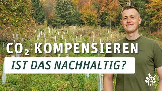 CO₂ Kompensation  Wie nachhaltig sind Kompensationsprojekte wirklich [upl. by Giulietta]