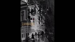 Schindlers List  MOVIE REVIEW 16 [upl. by Eduino791]