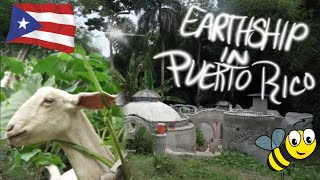 Earthship in Puerto Rico Documentary [upl. by Rozanna]