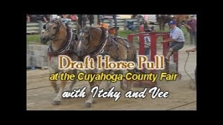 Draft Horse Pull at the Cuyahoga County Fair [upl. by Waylin]