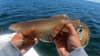 Exploring Yorke Peninsulas Best Fishing Spots A Boat Fishing Adventure Part 12 [upl. by Neirb]